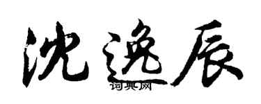 胡问遂沈逸辰行书个性签名怎么写