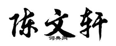 胡问遂陈文轩行书个性签名怎么写