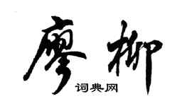 胡问遂廖柳行书个性签名怎么写