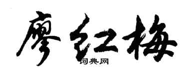 胡问遂廖红梅行书个性签名怎么写