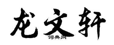 胡问遂龙文轩行书个性签名怎么写