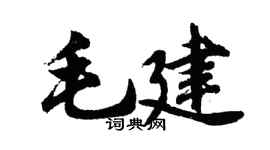 胡问遂毛建行书个性签名怎么写