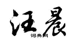 胡问遂汪晨行书个性签名怎么写