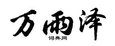 胡问遂万雨泽行书个性签名怎么写