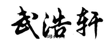 胡问遂武浩轩行书个性签名怎么写