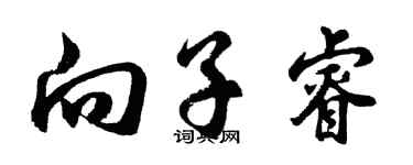 胡问遂向子睿行书个性签名怎么写