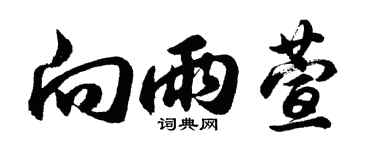 胡问遂向雨萱行书个性签名怎么写