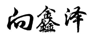 胡问遂向鑫泽行书个性签名怎么写