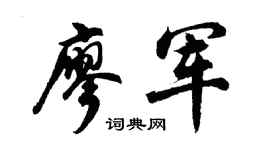 胡问遂廖军行书个性签名怎么写