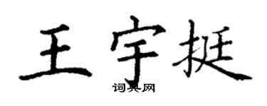 丁谦王宇挺楷书个性签名怎么写