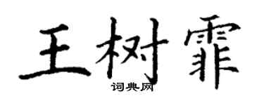 丁谦王树霏楷书个性签名怎么写