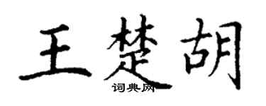 丁谦王楚胡楷书个性签名怎么写