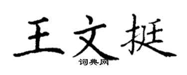 丁谦王文挺楷书个性签名怎么写