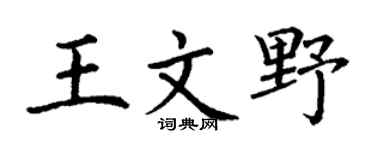 丁谦王文野楷书个性签名怎么写