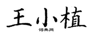 丁谦王小植楷书个性签名怎么写