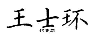 丁谦王士环楷书个性签名怎么写