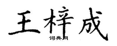 丁谦王梓成楷书个性签名怎么写