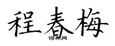 丁谦程春梅楷书个性签名怎么写