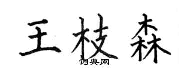 何伯昌王枝森楷书个性签名怎么写