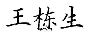 丁谦王栋生楷书个性签名怎么写