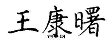 丁谦王康曙楷书个性签名怎么写