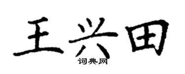 丁谦王兴田楷书个性签名怎么写