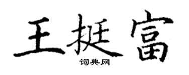 丁谦王挺富楷书个性签名怎么写