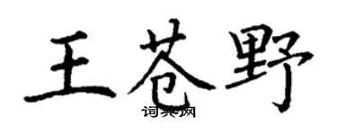 丁谦王苍野楷书个性签名怎么写