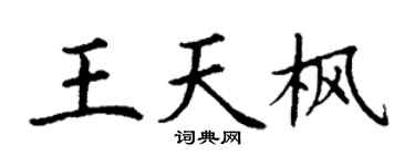 丁谦王天枫楷书个性签名怎么写