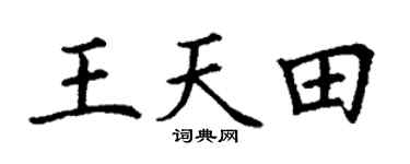 丁谦王天田楷书个性签名怎么写