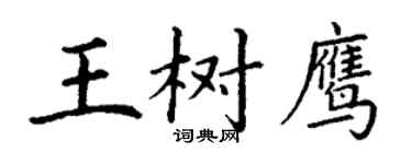 丁谦王树鹰楷书个性签名怎么写