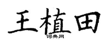 丁谦王植田楷书个性签名怎么写