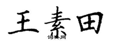 丁谦王素田楷书个性签名怎么写