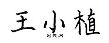 何伯昌王小植楷书个性签名怎么写