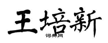 翁闿运王培新楷书个性签名怎么写