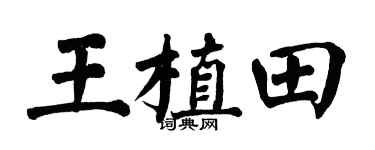 翁闿运王植田楷书个性签名怎么写