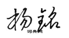 骆恒光杨铭草书个性签名怎么写