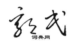 骆恒光郭民草书个性签名怎么写