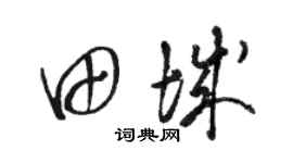 骆恒光田城草书个性签名怎么写