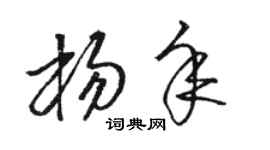 骆恒光杨年草书个性签名怎么写