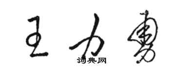 骆恒光王力勇草书个性签名怎么写