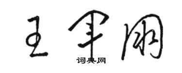 骆恒光王军朋草书个性签名怎么写