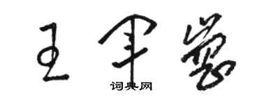 骆恒光王军岗草书个性签名怎么写