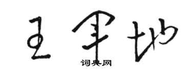 骆恒光王军地草书个性签名怎么写