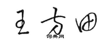 骆恒光王方田草书个性签名怎么写