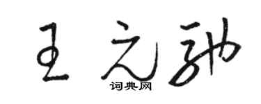 骆恒光王元驰草书个性签名怎么写