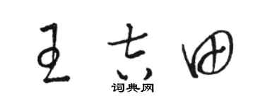 骆恒光王吉田草书个性签名怎么写