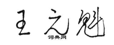 骆恒光王元魁草书个性签名怎么写