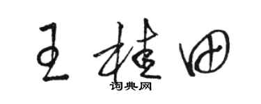 骆恒光王桂田草书个性签名怎么写