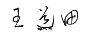 骆恒光王道田草书个性签名怎么写